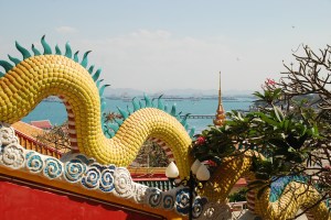 B_ Grua 20090105b_035 (c) Bernard Grua - Copies Forbidden