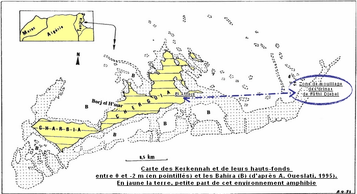 Article Pêche au poulpe Kerkennah par Bernard Grua