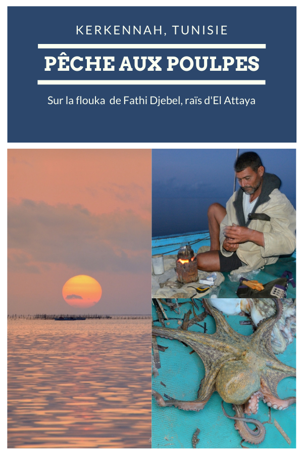 Pêche aux poulpes, drina, Kerkennah