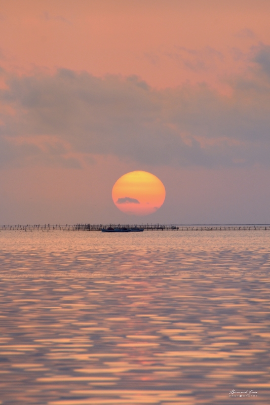 Bernard Grua, Kerkennah, Poulpe, Drina, soleil levant