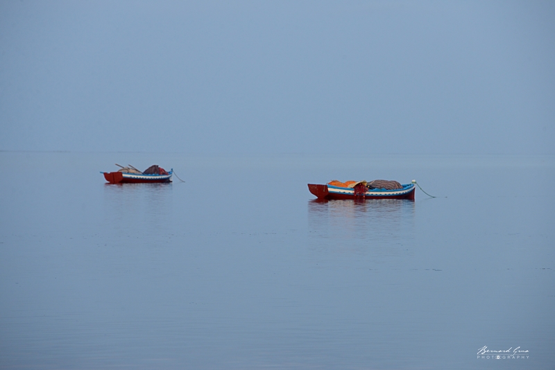Existe-t-il beaucoup d'endroits au monde où l'on peut trouver des embarcations au mouillage, à près de 11 nautiques (soit 20 km) sans personne, à bord? Depuis quand sont-elles ici, ces deux felouques garnies de leurs filets ? Sont-elles en attente d'une prochaine saudade ? Est-ce cet immense plateau sous-marin où les fonds peuvent faire moins d'un mètre de profondeur et dont les posidonies amortissent les vagues, qui permet de telles circonstances ? Kerkennah est un territoire amphibie unique qui ne peut être envisagé que dans sa globalité tant en terme d'équilibre environnemental qu'en terme humain. Kerkennah ne peut pas se réduire à ses deux îles principales, qui de Sidi Yousef, à l'extrême Ouest, à El Attaya, à l'extrême Est, s'étendent sur 35 km de long et bien moins de large. Sur une population d'environ 12 000 habitants permanents environ 60% vivent directement de la pêche.