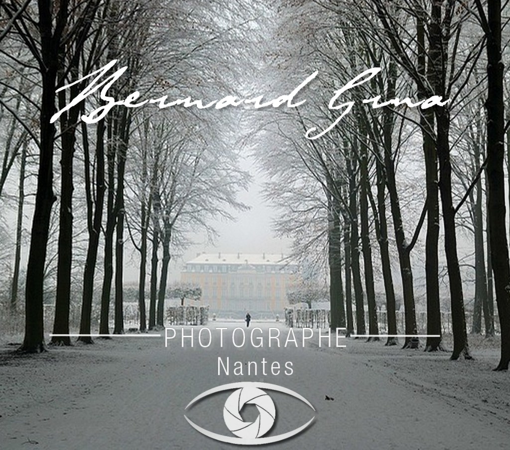 Bernard Grua Photographe