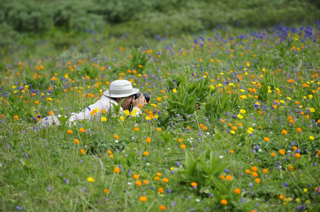 Bernard Grua dans une somptueuse prairie alpine feurie au pied du Munku Sardyk délimitant la frontière mongole, dans les Monts Saian orientaux, Sibérie