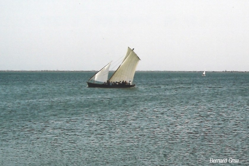 Le loud ( loude ) "El Feliho" ( El Felah) à Kerkennah en 2002 - Chergui, la Marsa des 20