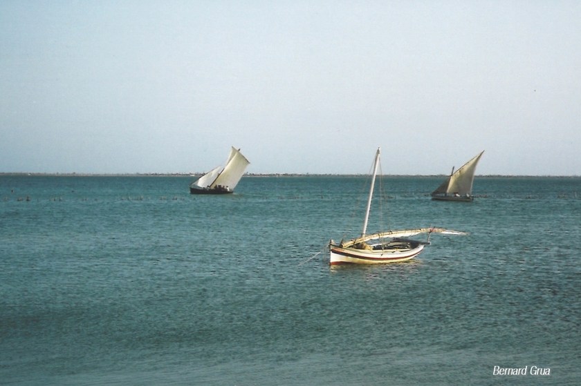 Le loud ( loude ) "El Feliho" ( El Felah) à Kerkennah en 2002 - Chergui, la Marsa des 20