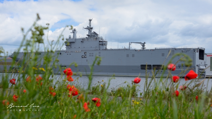 Mistral Vladivostok dans le bassin de Penhoet, St Nazaire 15/05/2015 - Photo Bernard Grua