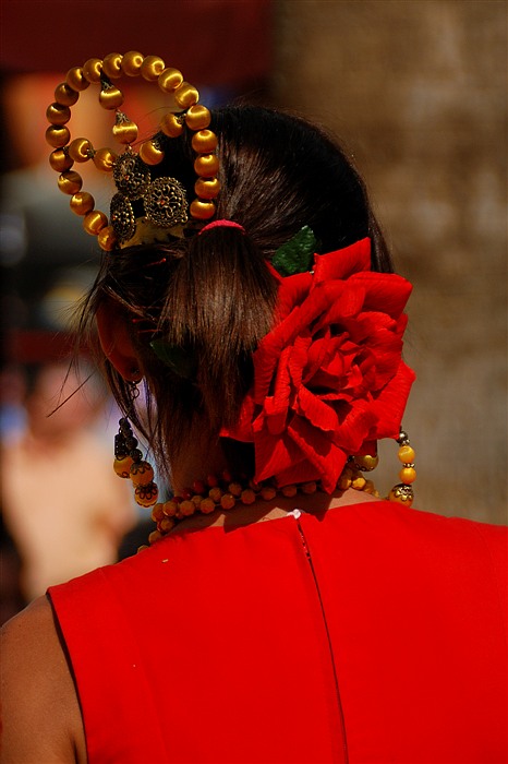 Bernard Grua photographie, feria d'Arcos de Jerez