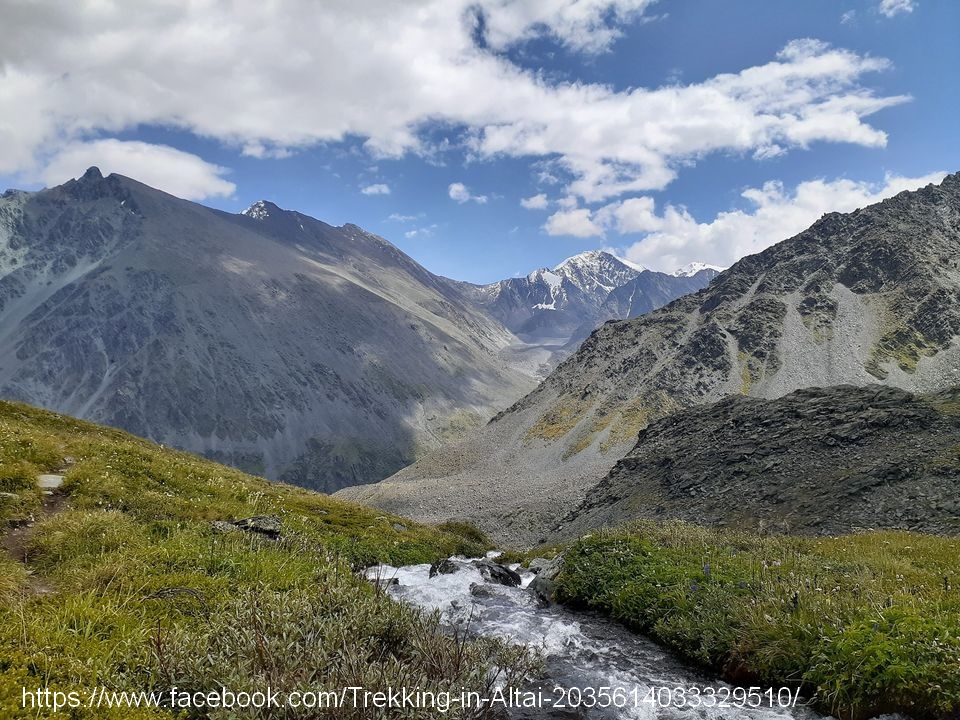 Treeking in Altai-  Credit Facebook page "Trekking in Altai'
Экстремальные путешествия, Алтай, Extreme Travels in Russia, Olga Leonidovna Ozerova, Ольга Сим, Olga Sim,