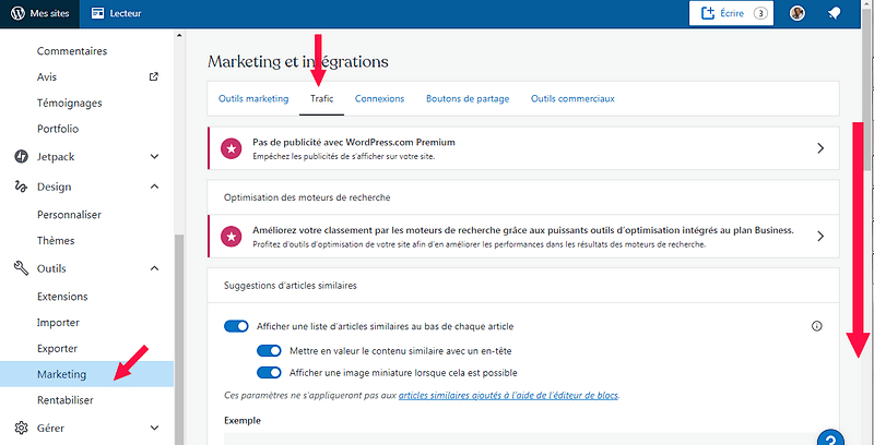 Wordpress, dans l'onglet "Trafic", colonne de droite, descendre vers Google