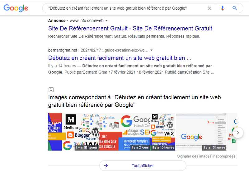 Affichage du résultat de la recherche Google. L'indexation a été réalisée