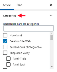 Catégorie WordPress