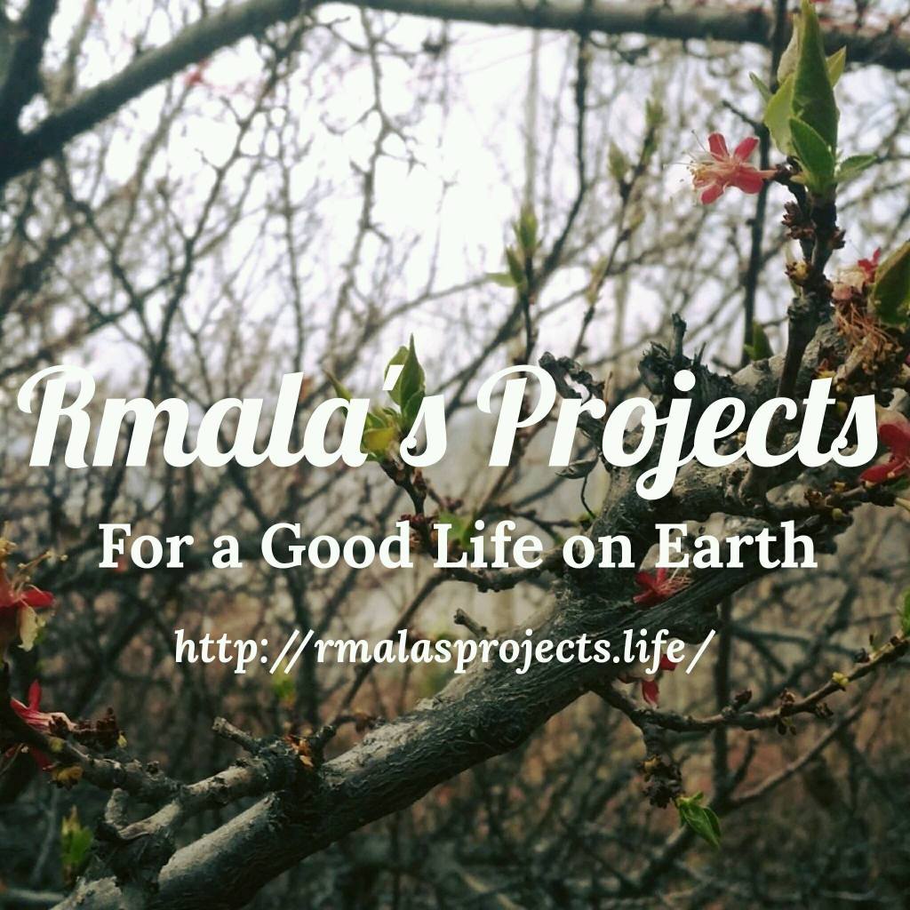 Rmala's Projects Facebook profile photo