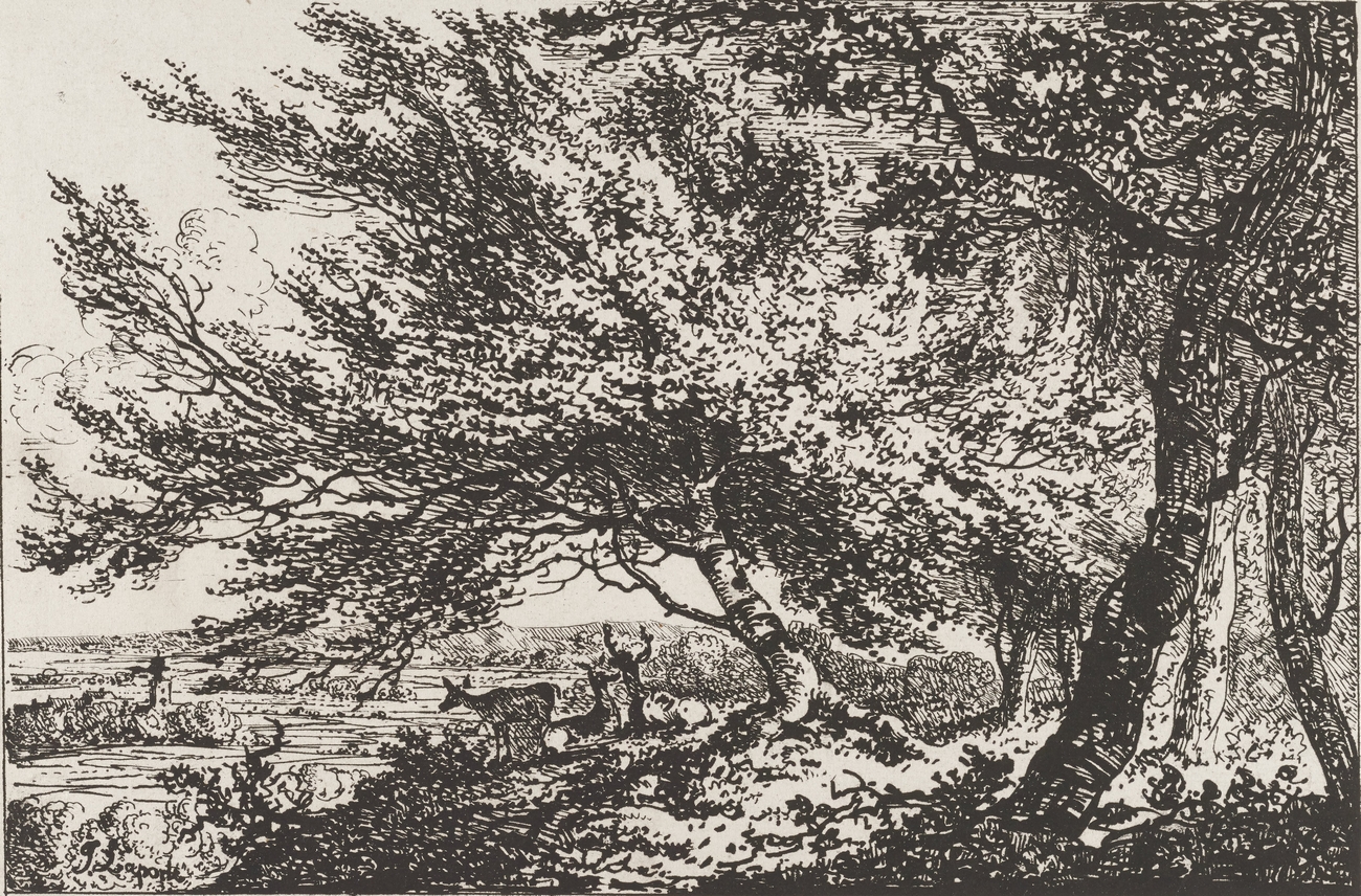 Bernard Grua, ex libris, lectures favorites